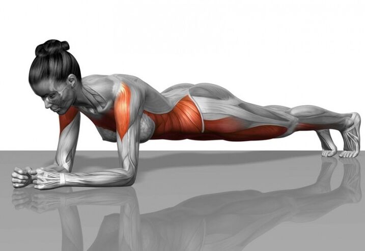 Schema muscolare